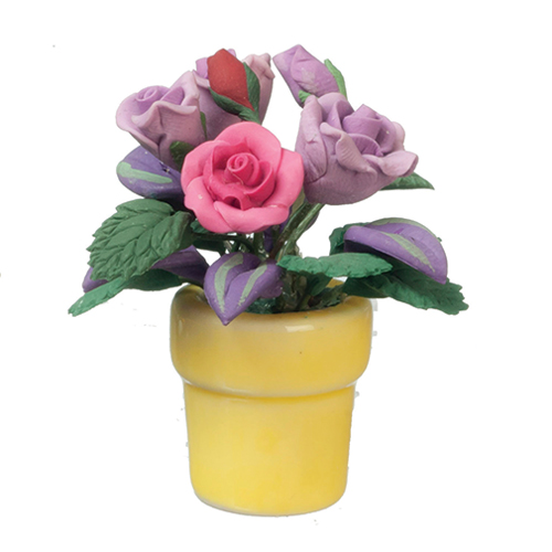 Violet and Pink Roses